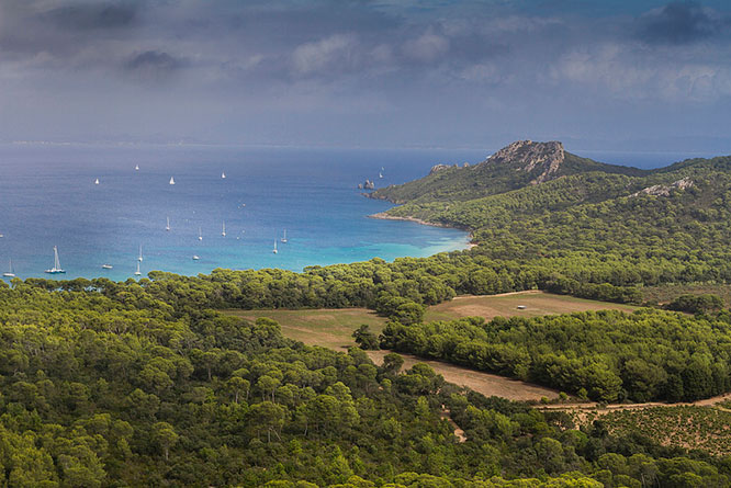 Cap des Mèdes