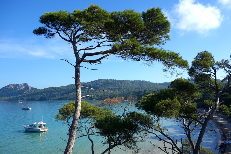 Plage Notre-Dame Porquerolles