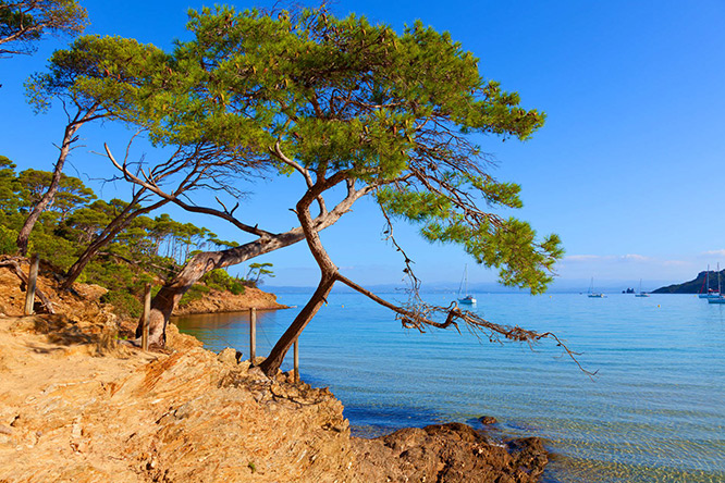 Small cove in Porquerolles