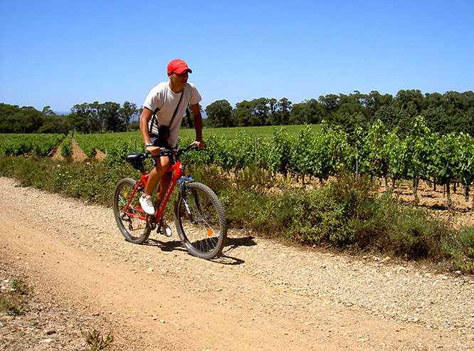 Biking in Porquerolles
