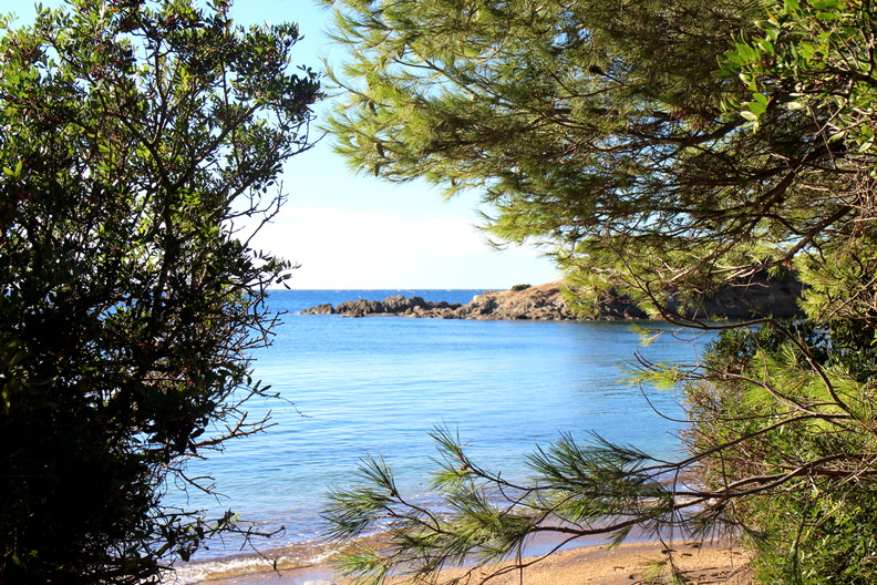 Plage noire Porquerolles
