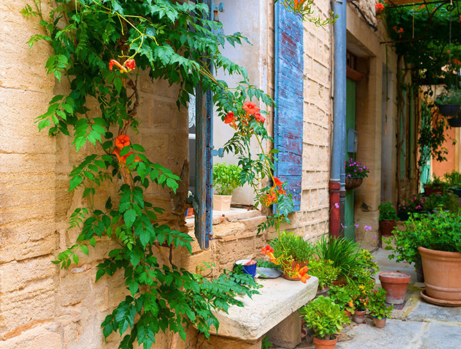 Small house in Porquerolles