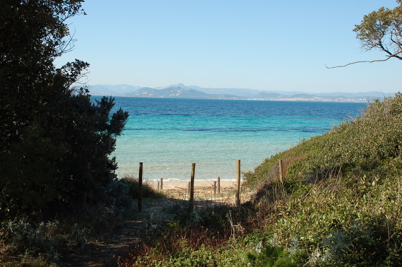Plage de la courtade Porquerolles