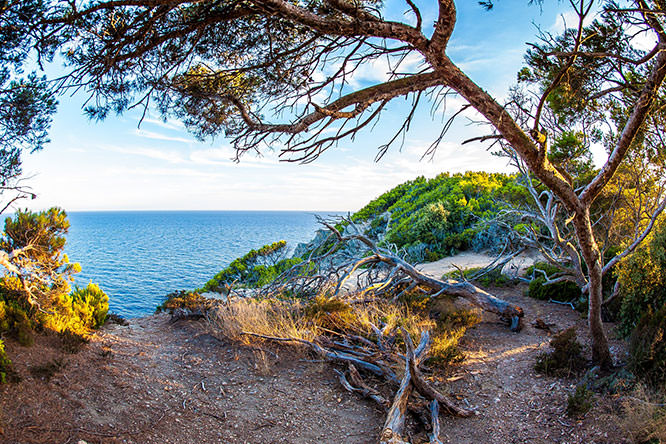 Calanque de l'Indienne Porquerolles