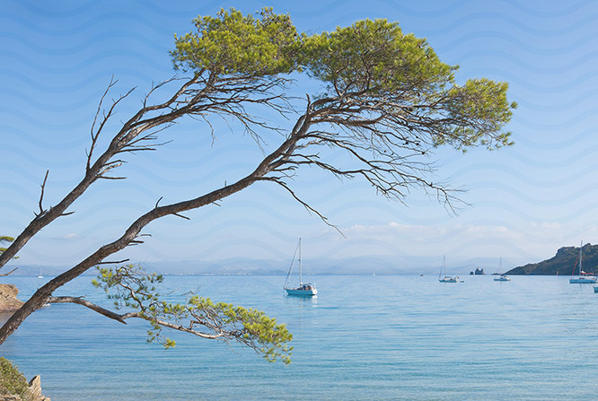 Porquerolles