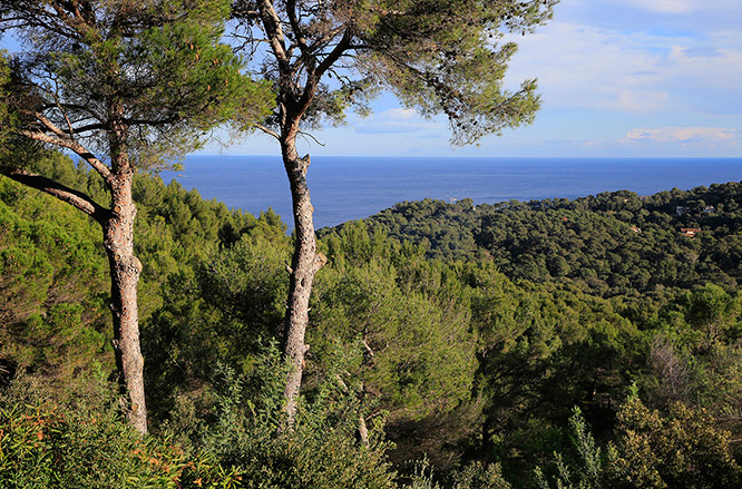 Cap Benat