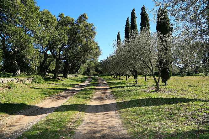 Le Lavandou