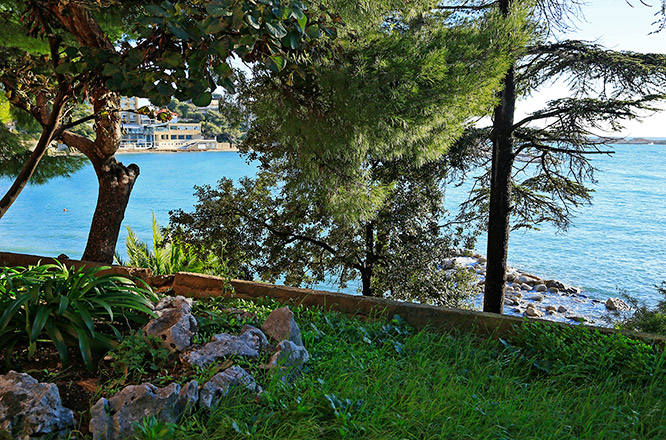 Bandol