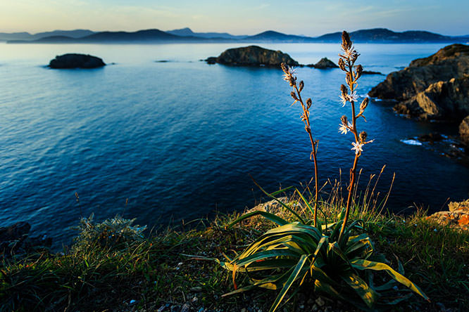 The Giens peninsula