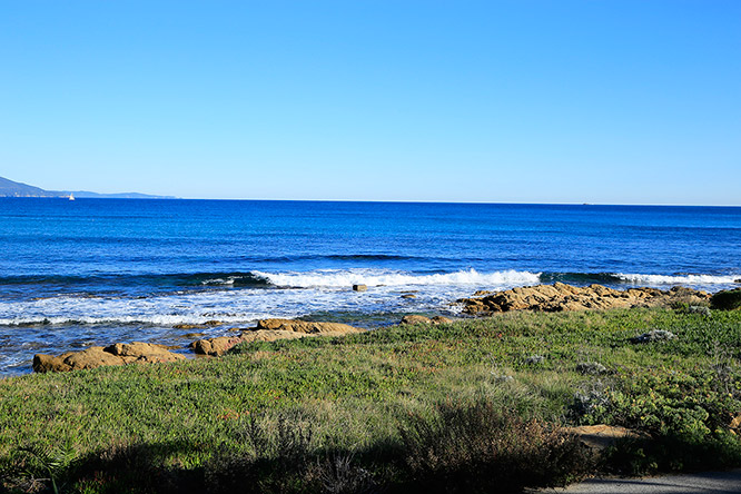 Bormes les Mimosas