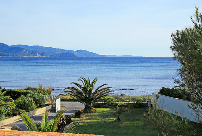 Bormes les Mimosas