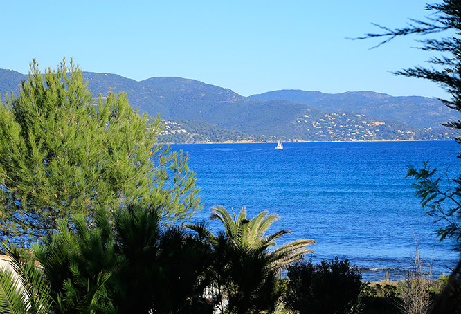 Bormes les Mimosas
