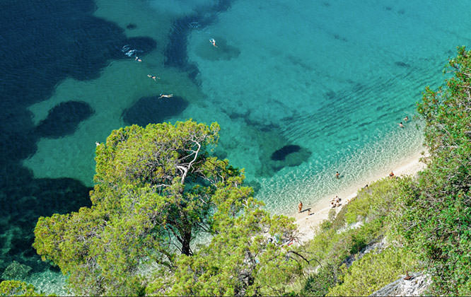 Beach paradise