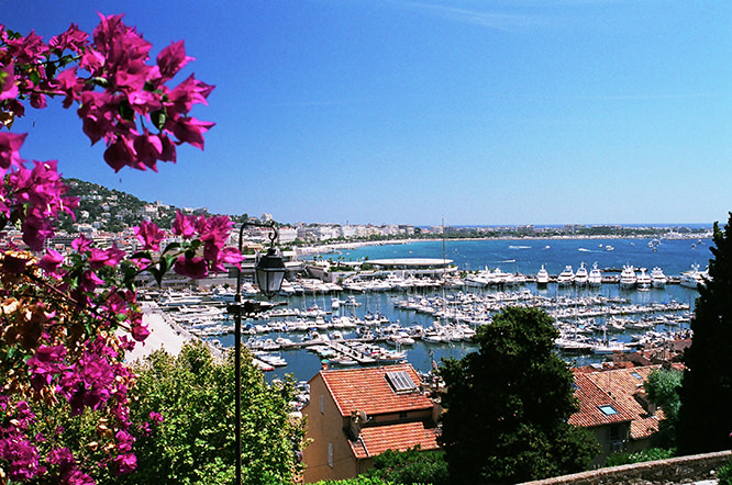 Le Vieux Port Cannes, French Riviera