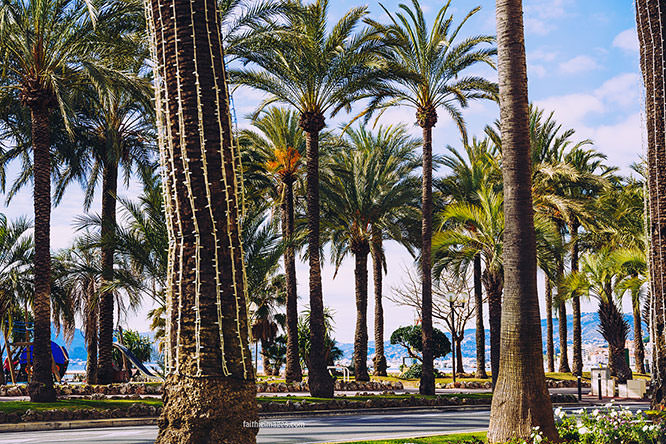 La Croisette Cannes