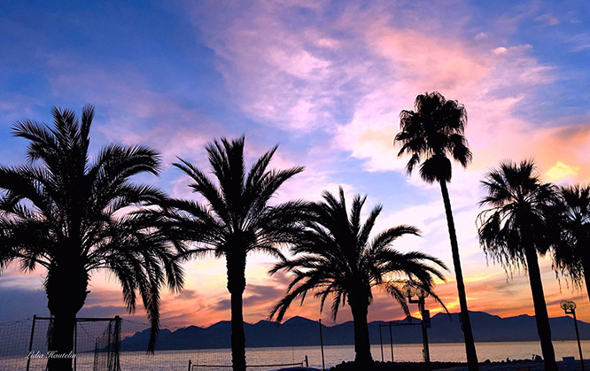 Sunset in Boulevard du Midi