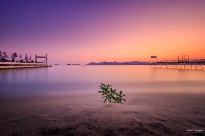 Beach in Cannes