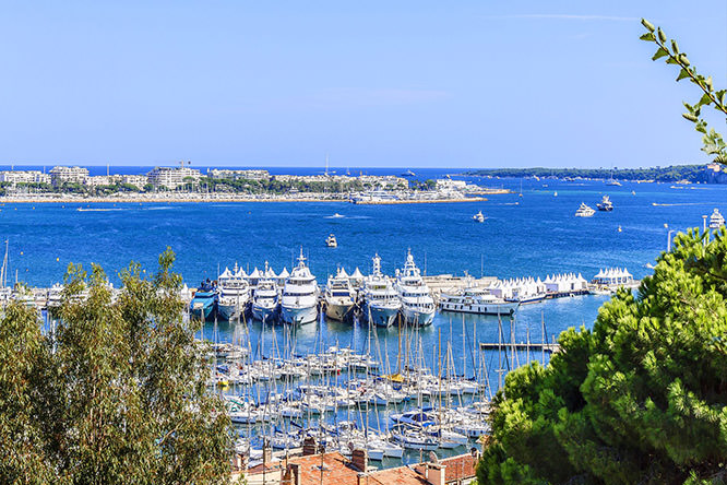 Cannes harbour
