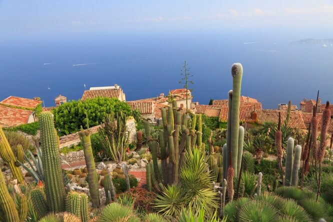 View from Èze exotic garden
