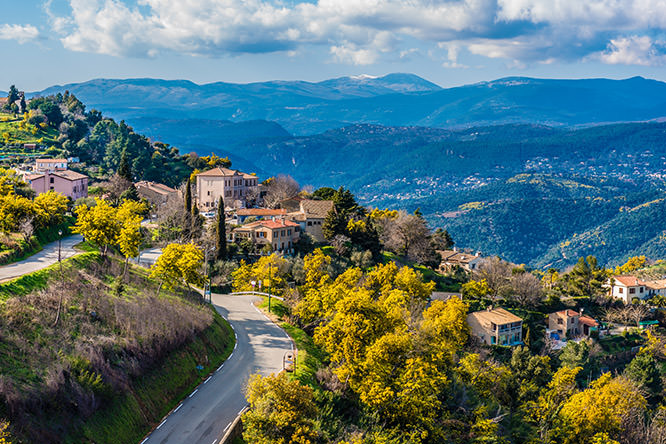 Tanneron French Riviera