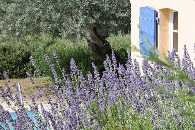 Claviers French Riviera
