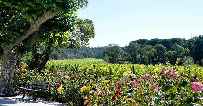 Clos des Roses French Riviera