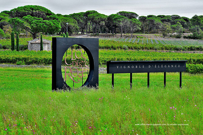 Vineyards in Fréjus