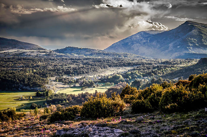 Plateau de Caussols