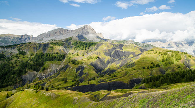 Allos