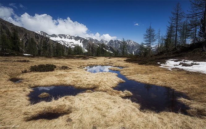 Les sommets de la Vésubie, depuis le vallon de Salèse