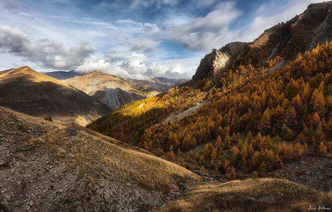 Vallon de l'Alpe