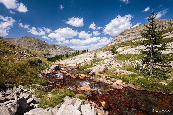 Torrent de Gialorgues