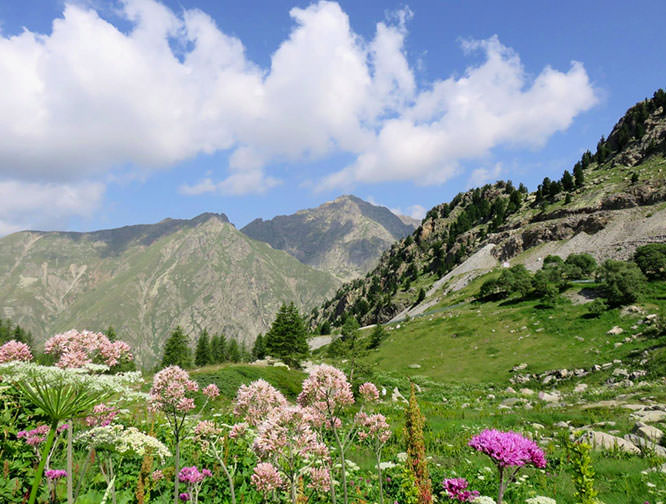 Valley of the Gordolasque