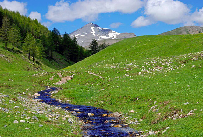 Mount Mounier