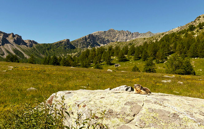 Valley of the Fontanalba