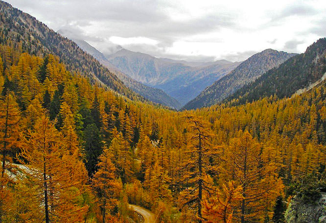 Mercantour in Autumn