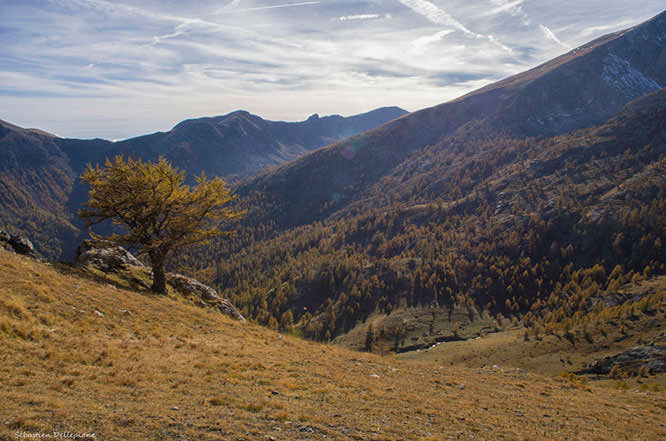 Vallaurette Maritime Alps