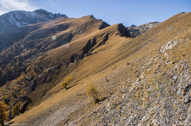 Mount Bégo Maritime Alps