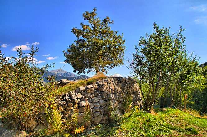 Nature in Sauze