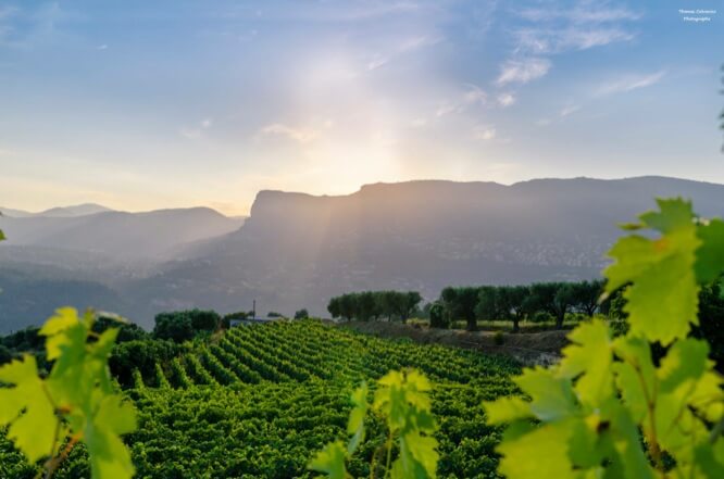Domaine de la Source