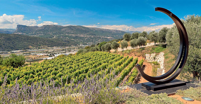 Bellet vines