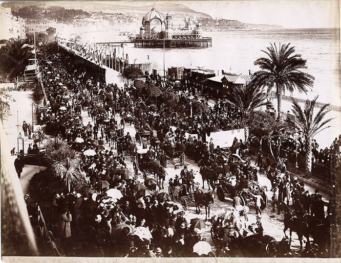 Nice Flower Battle in the 20's