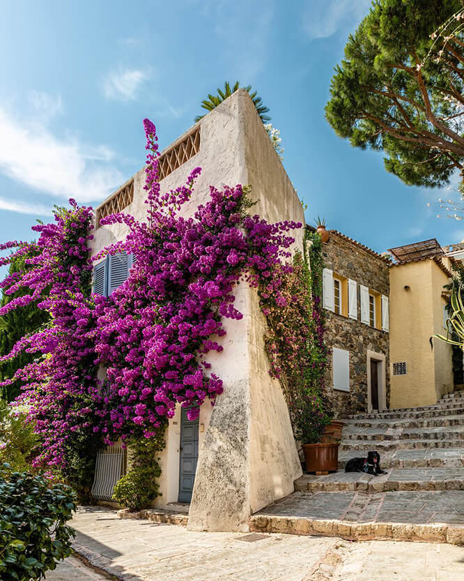 Colorful and narrow street in Grimaud French Riviera