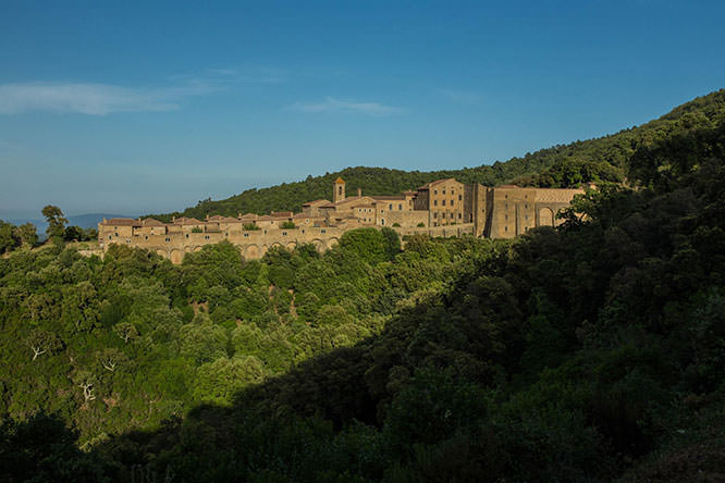 Chartreuse de La Verne