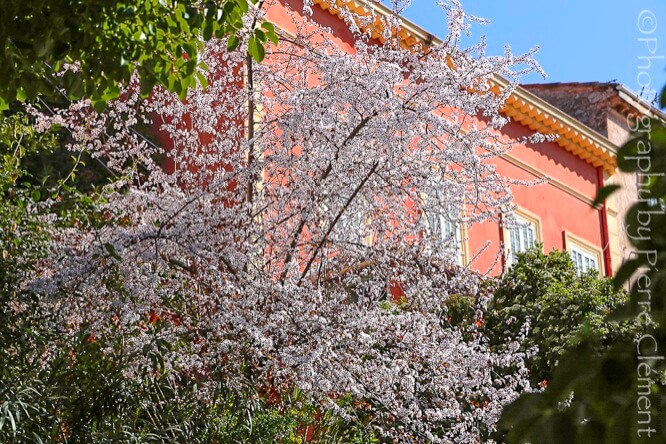 Rue St Sauveur Le Cannet French Riviera
