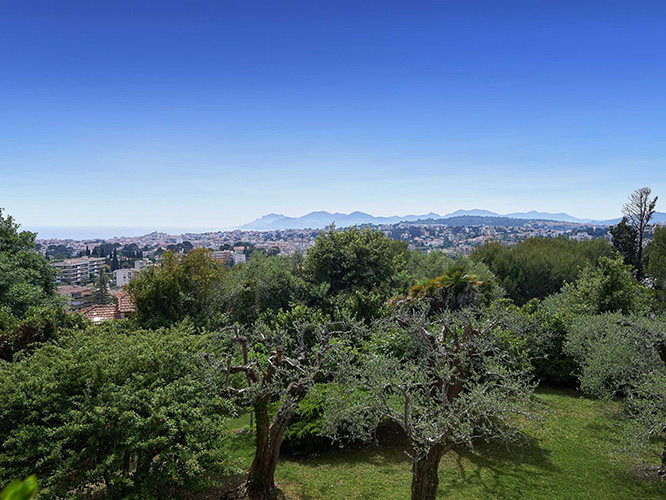 Garden in Le Cannet French Riviera