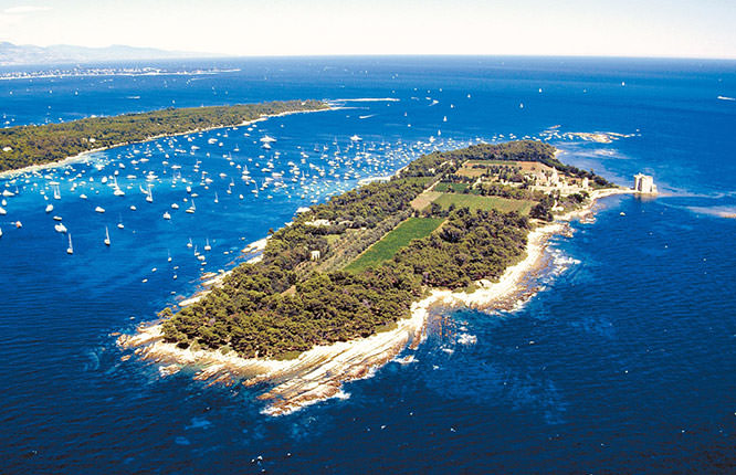 Île St-Honorat, Lérins Islands, Cannes, French Riviera