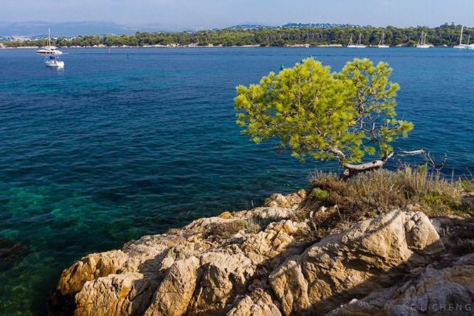 Ile St Honorat
