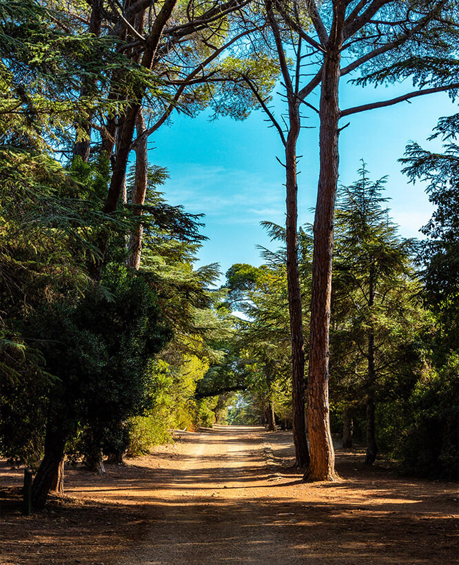 Sainte-Marguerite island