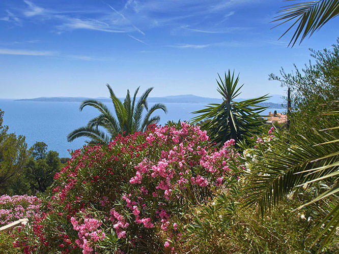 Pretty garden in Les Issambres French Riviera